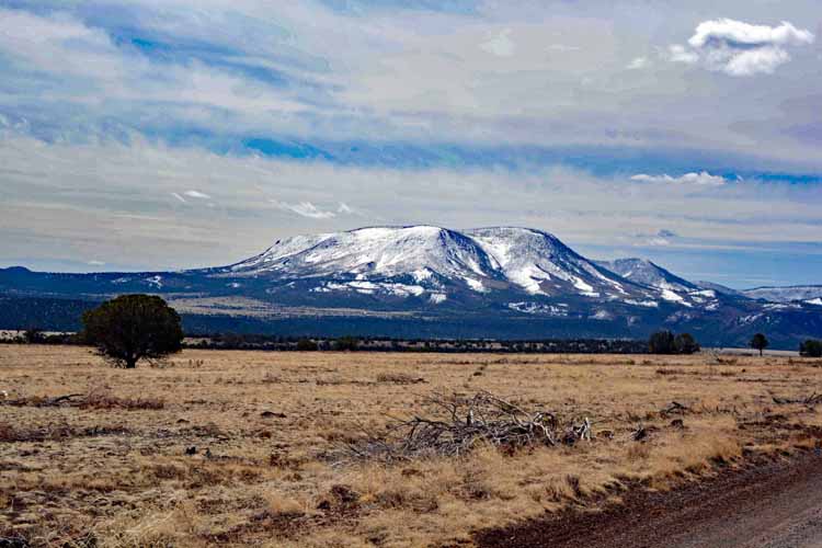 snow-capped mtns